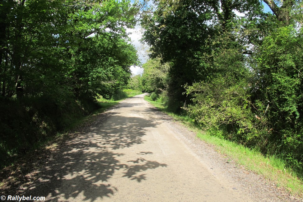 Promenade en sous-bois À proximité du Contrevent À la découverte des alentours du gîte